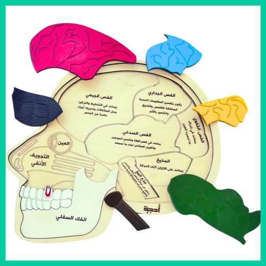 Wooden Brain Puzzle - Ahjiah - Image 4