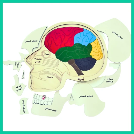 Wooden Brain Puzzle - Ahjiah - Image 3