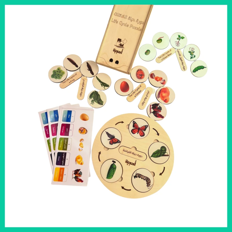 Wooden Life Cycle Puzzle - Ahjiah