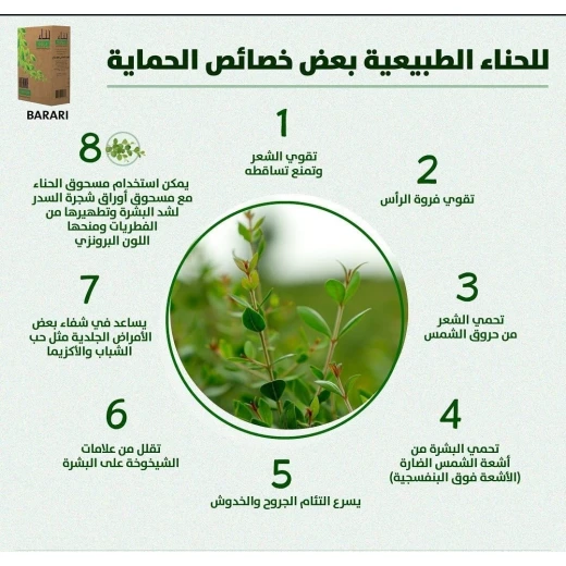 Barari Henna, High Purity Natural Yemeni Henna for Hair and Skin, No additives,  200 gm - Barari - Image 7