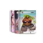 ABC Bravo College Notebook, A4 (6) HC - Bravo