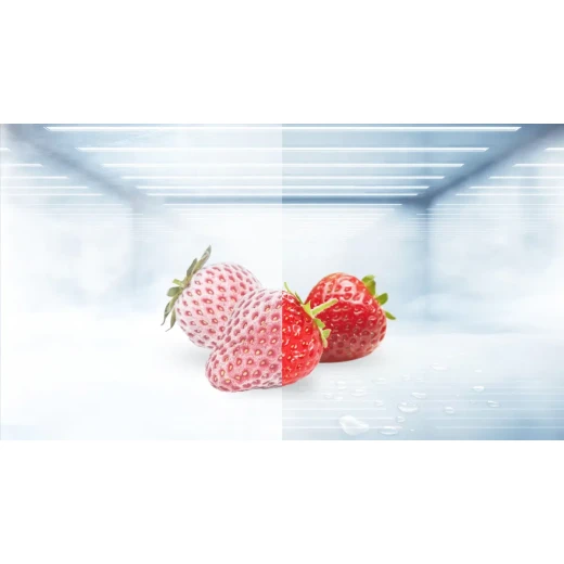 TCL P520SBS Side by Side Refrigerator Net 520L Silver 920 × 1768 × 630 mm 2 Years Warranty - TCL - Image 7