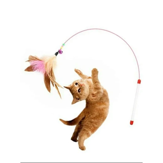Cat feather toy Cat feather toy