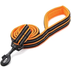 Dog leash one size black and orange