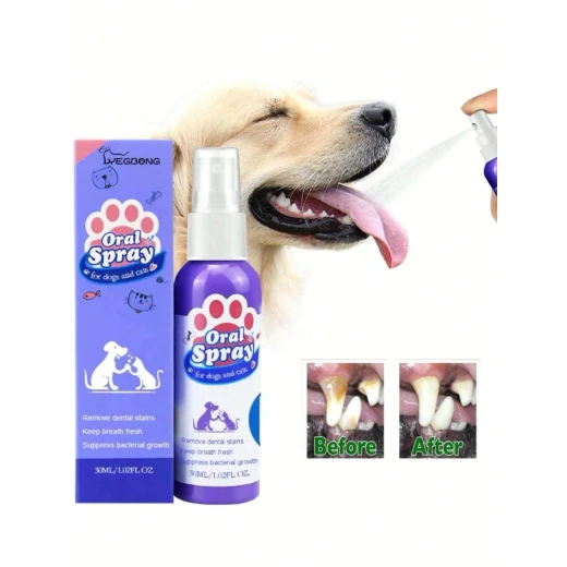 Petry Oral Spray, Teeth Cleaning Spray for Dogs & Cats, Pets Dental Care Bad Breath Treatment, Dog Oral Spray, Teeth Cleaning Spray, Dog and Cat Natural Breath Freshener 30 Ml - Pets - Image 7