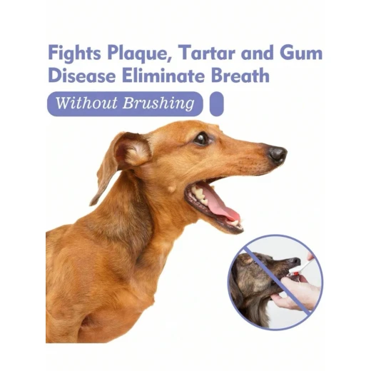 Petry Oral Spray, Teeth Cleaning Spray for Dogs & Cats, Pets Dental Care Bad Breath Treatment, Dog Oral Spray, Teeth Cleaning Spray, Dog and Cat Natural Breath Freshener 30 Ml - Pets - Image 5