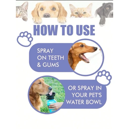 Petry Oral Spray, Teeth Cleaning Spray for Dogs & Cats, Pets Dental Care Bad Breath Treatment, Dog Oral Spray, Teeth Cleaning Spray, Dog and Cat Natural Breath Freshener 30 Ml - Pets - Image 4