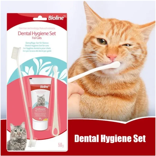 Bioline Dental Hygiene Set for Cats - Bioline - Image 3