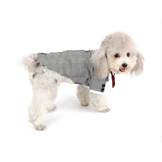 Pets Formal Dog Suit , XL Size - Pets - Image 2