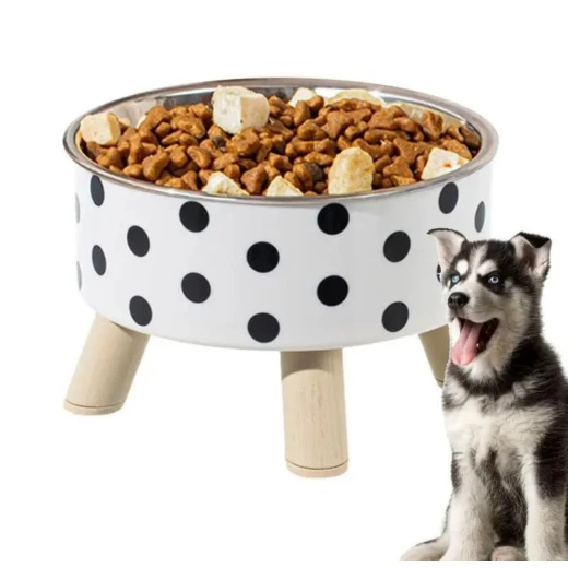 Pets Elevated Polka Dot Pet Food Bowl , one size - Pets - Image 2