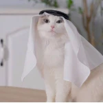A stylish shemagh and agal for the cat from pets, one size - Pets