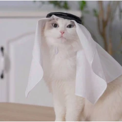 A stylish shemagh and agal for the cat from pets, one size