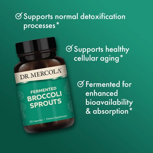 Dr. Mercola Organic Fermented Broccoli Sprouts – 30 Capsules – Organic Whole Broccoli Antioxidant Supplement for Detoxification Support – Non-GMO, Gluten-Free & Soy-Free - Drmercola - Image 2