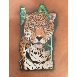 Hand-Painted Tiger Oil Painting on Wood Signed Artwork with Glass Frame & Wooden Edges 46x36cm