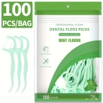 Professional Mint Dental Floss Picks | High-Tenacity Polymer Wire & Toothpick | Shred-Resistant Interdental Cleaners for Plaque Removal | 100 Count Resealable Bag - Snugsy