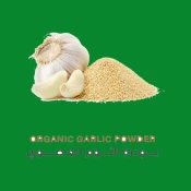 Garlic