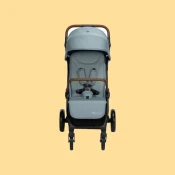 Standard Strollers