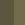 OLIVE NIGHT